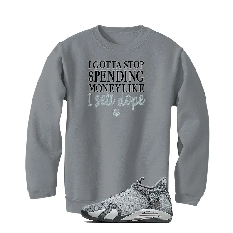 Air Jordan 14 “Flint Grey” | illcurrency Grey T-Shirt (STOP SPENDING MONEY)