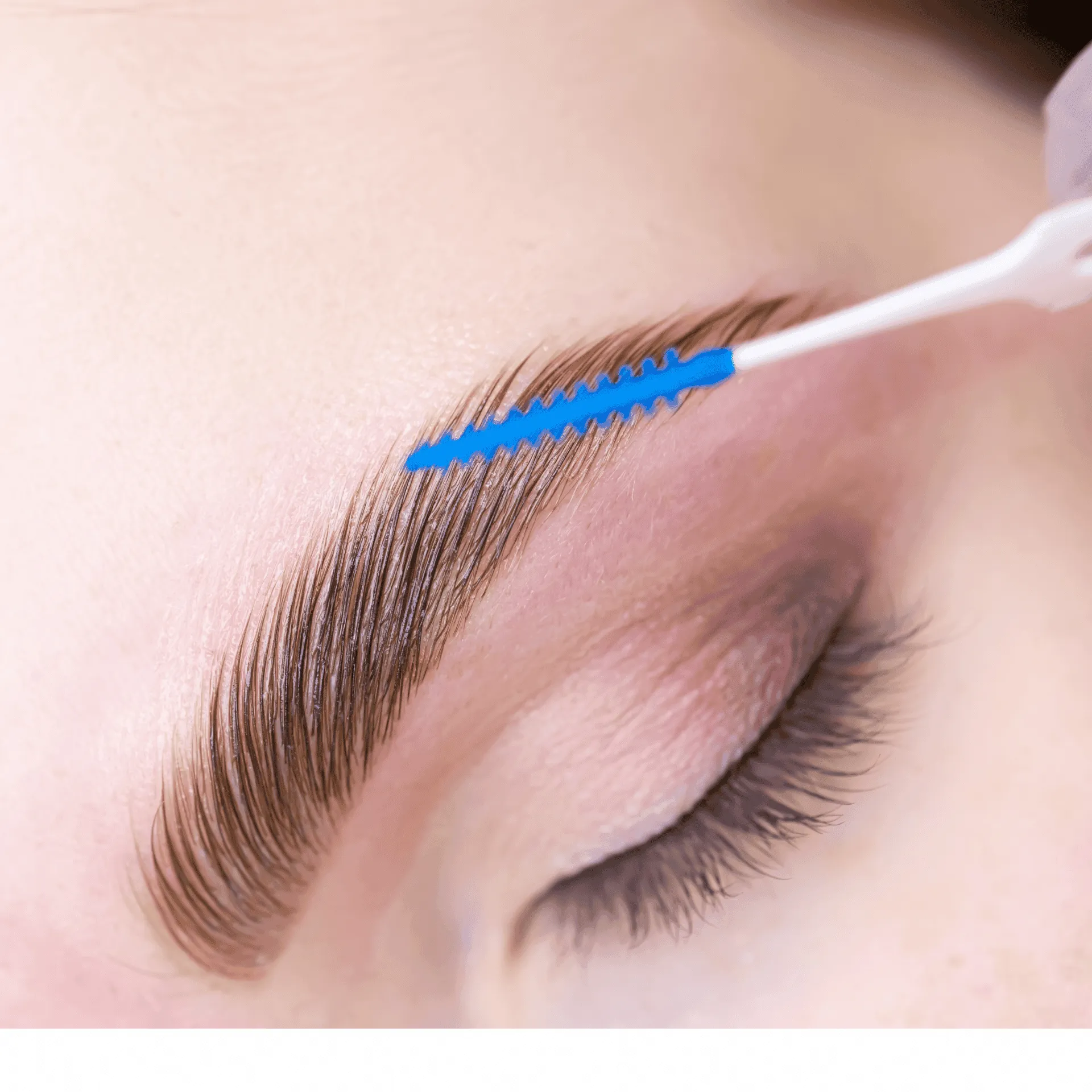 Brow Lamination, Waxing & Tinting Course