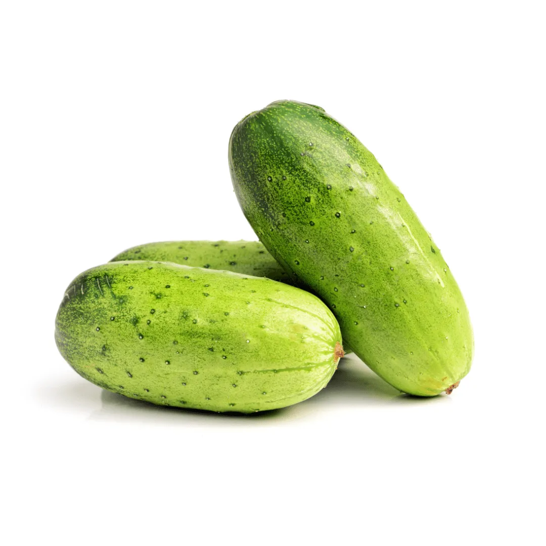 Cucumber Artist Gherkin Coated Seeds | West Coast Seeds