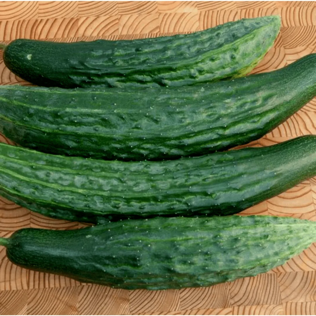 Cucumbers Green Dragon Seeds | West Coast Seeds