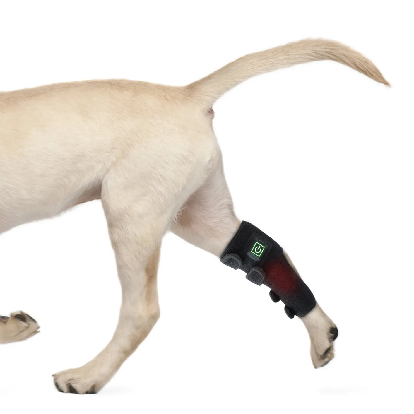 Dog Infrared Red Light Therapy Leg Boot Brace Wrap BUILT IN BATTERY Medical Grade LEDs