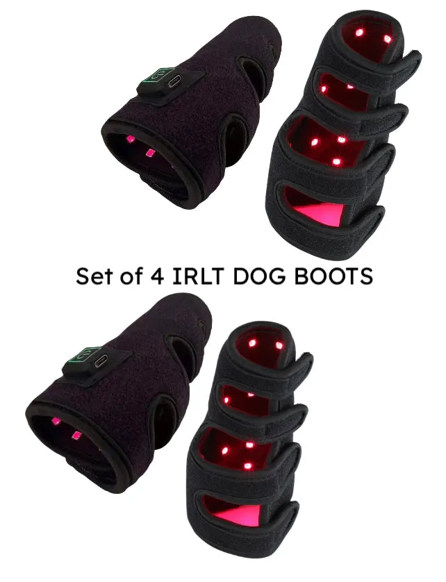 Dog Infrared Red Light Therapy Leg Boot Brace Wrap BUILT IN BATTERY Medical Grade LEDs