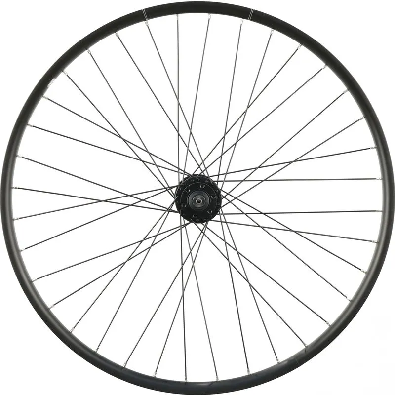 Electra Townie Go! 7D 26" Front Wheel, Clincher, 100mm hub, 6-Bolt Disc, QR