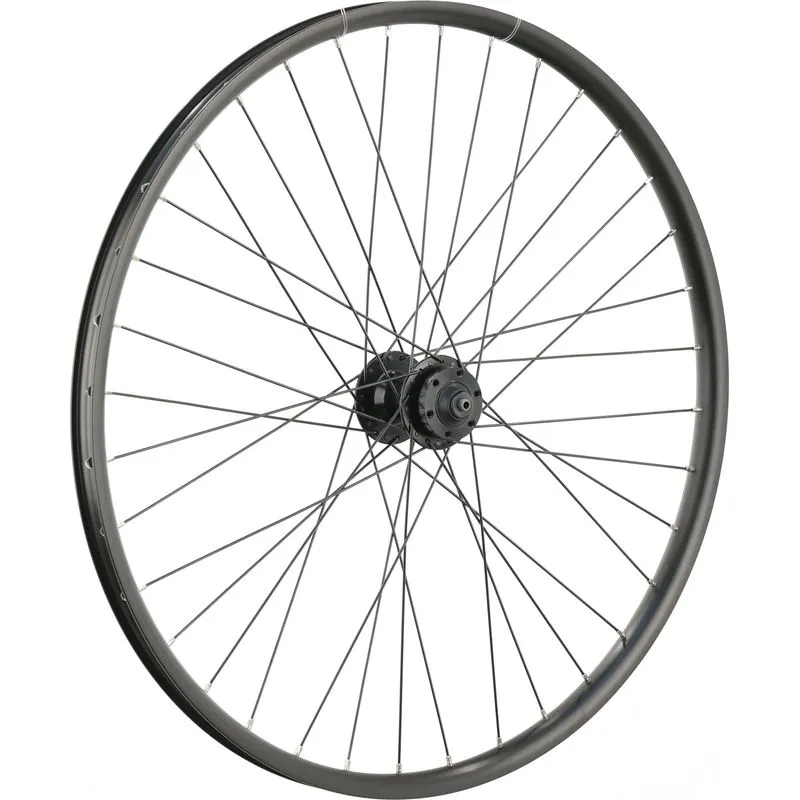 Electra Townie Go! 7D 26" Front Wheel, Clincher, 100mm hub, 6-Bolt Disc, QR