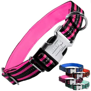 Hybrid Striped Dog Collar (Small/Medium/Large) For Medium Large Breeds | Heavy Duty