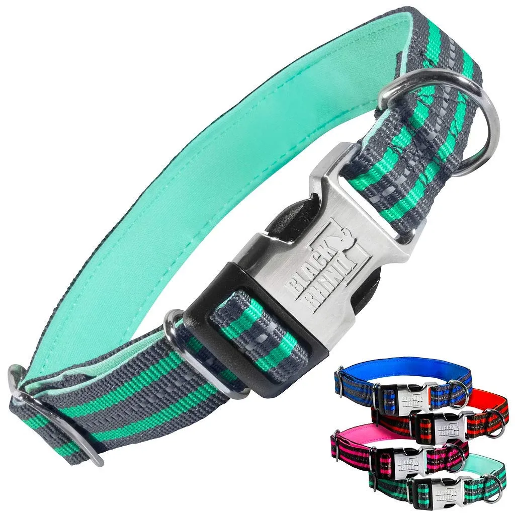 Hybrid Striped Dog Collar (Small/Medium/Large) For Medium Large Breeds | Heavy Duty