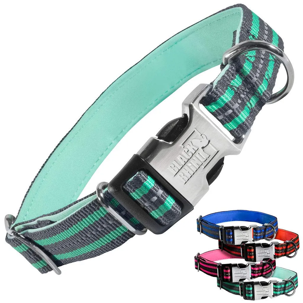 Hybrid Striped Dog Collar (Small/Medium/Large) For Medium Large Breeds | Heavy Duty