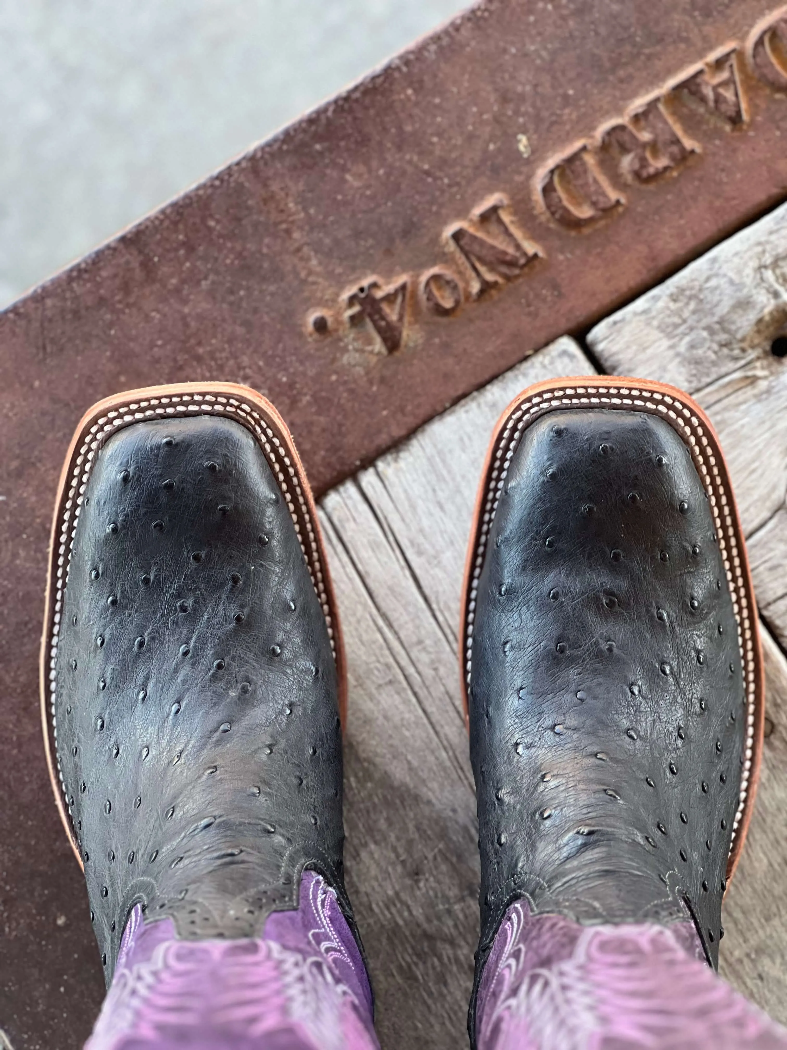 Rios of Mercedes | Black Full Quill Ostrich Boot