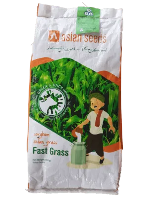 Sorghum Sudan Grass - Fast Grass