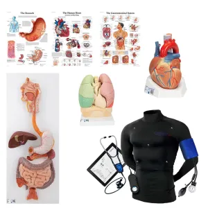 Wearable Auscultation and Standardized Patient Set "Advanced Lab" with BHS